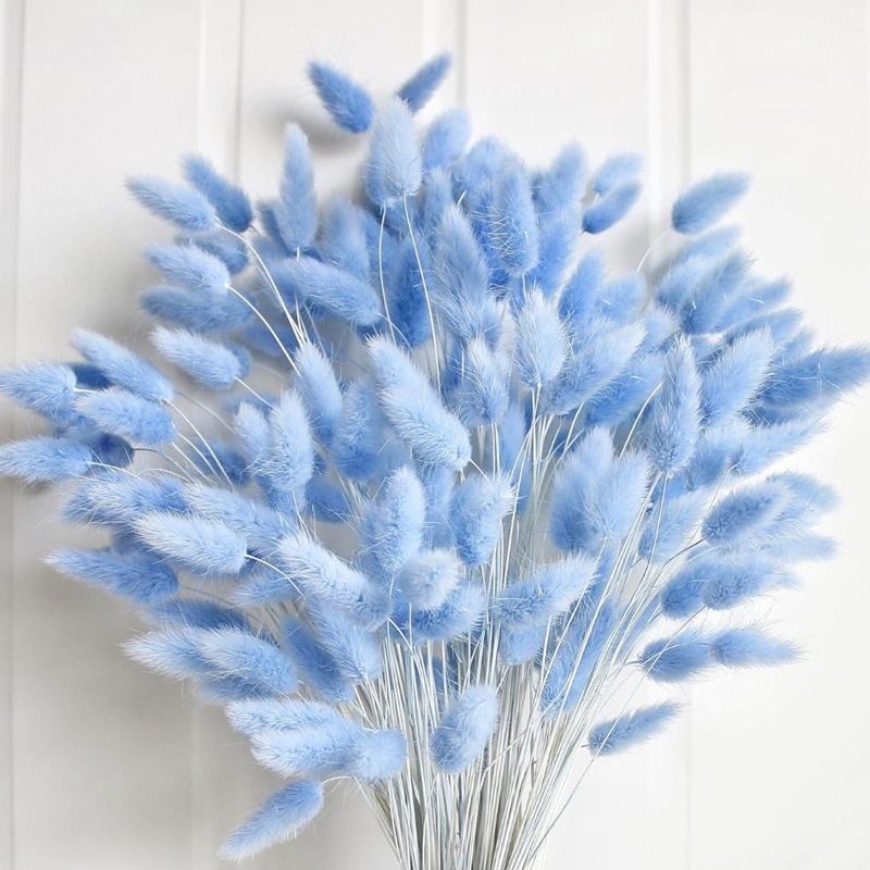 Baby Nursery Ornaments - 100PCS Blue Hare's-tail หญ้ากระต่ายกระต่ายหาง Home Room