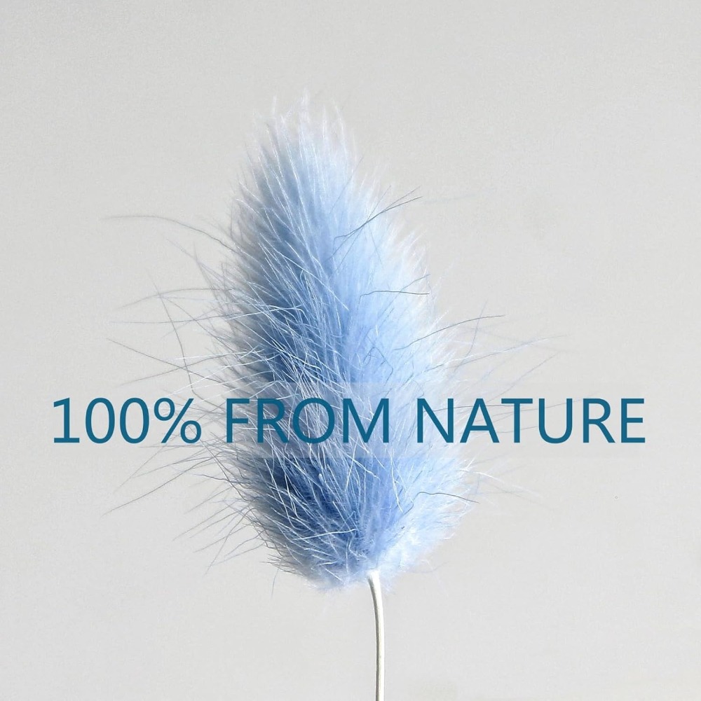 100PCS Blue Hare's-tail หญ้ากร - Baby Nursery Ornaments บทวิจารณ์และราคา